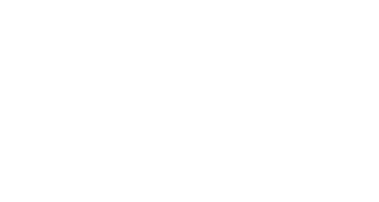 light logo